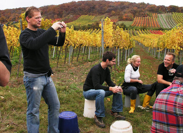 2006-11-06_Weinlese_22