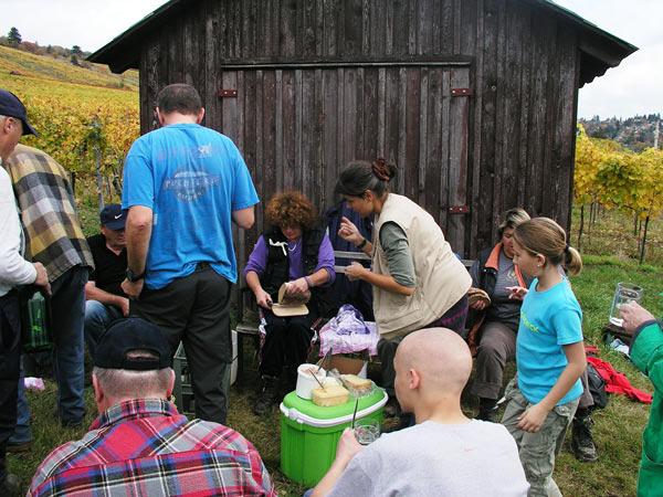 2006-11-06_Weinlese_23