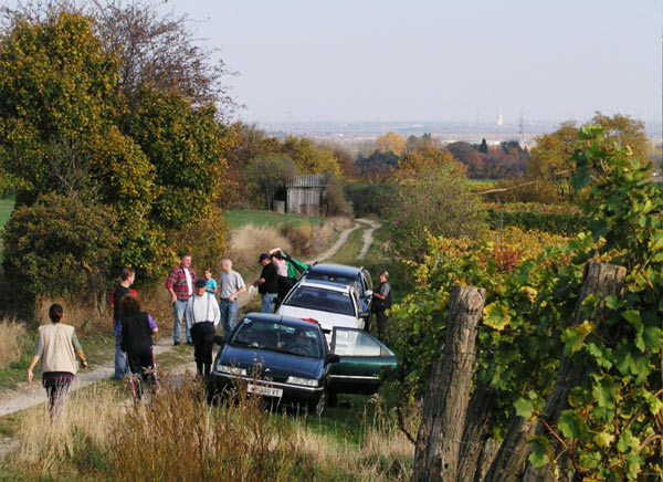 2006-11-06_Weinlese_58