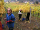 2006-11-06_Weinlese_03