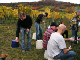 2006-11-06_Weinlese_17